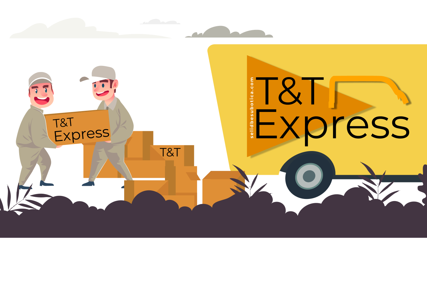 T&T express kombi